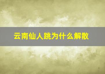 云南仙人跳为什么解散