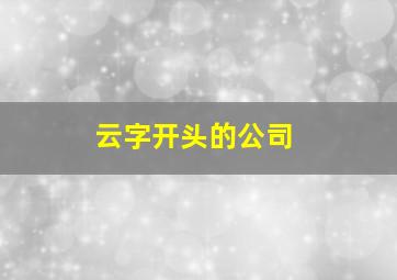 云字开头的公司