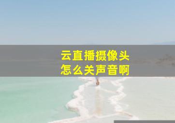 云直播摄像头怎么关声音啊