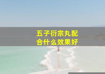 五子衍宗丸配合什么效果好