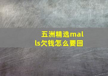 五洲精选malls欠钱怎么要回