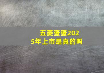 五菱蛋蛋2025年上市是真的吗