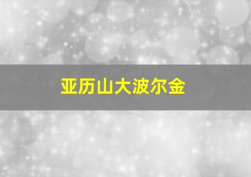 亚历山大波尔金