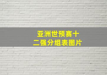 亚洲世预赛十二强分组表图片