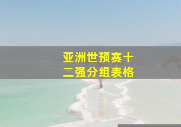 亚洲世预赛十二强分组表格