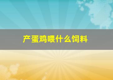 产蛋鸡喂什么饲料