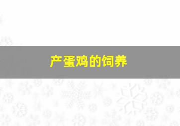 产蛋鸡的饲养