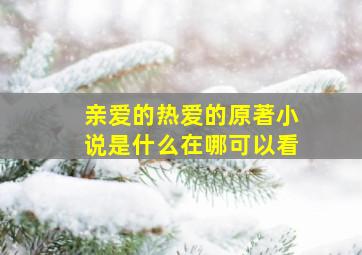 亲爱的热爱的原著小说是什么在哪可以看