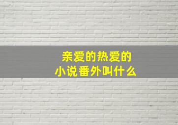 亲爱的热爱的小说番外叫什么