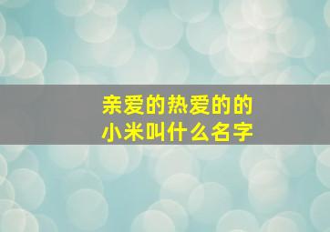 亲爱的热爱的的小米叫什么名字