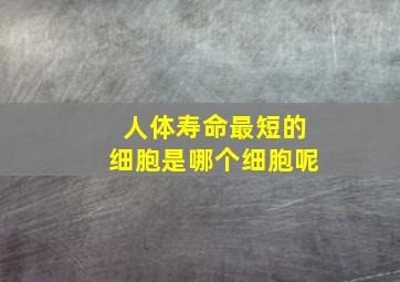 人体寿命最短的细胞是哪个细胞呢