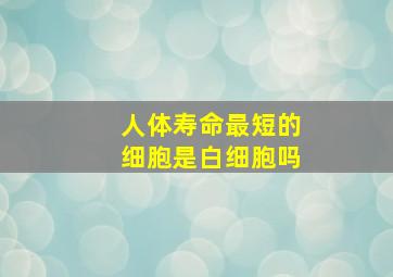 人体寿命最短的细胞是白细胞吗