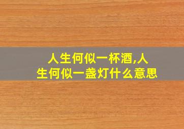 人生何似一杯酒,人生何似一盏灯什么意思