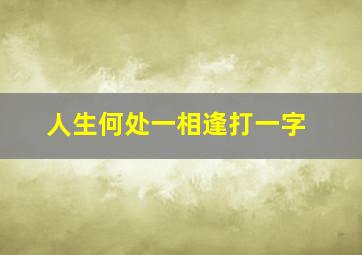 人生何处一相逢打一字