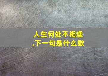 人生何处不相逢,下一句是什么歌