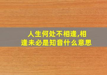 人生何处不相逢,相逢未必是知音什么意思