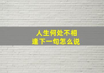 人生何处不相逢下一句怎么说