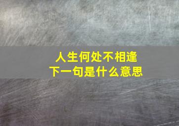 人生何处不相逢下一句是什么意思