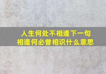 人生何处不相逢下一句相逢何必曾相识什么意思