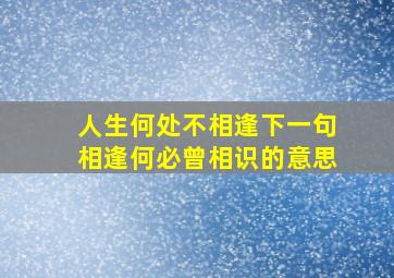 人生何处不相逢下一句相逢何必曾相识的意思