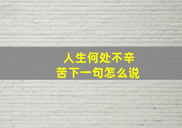 人生何处不辛苦下一句怎么说