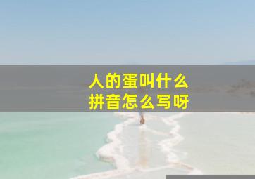 人的蛋叫什么拼音怎么写呀