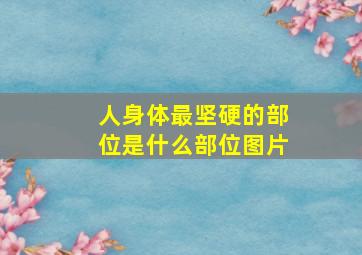 人身体最坚硬的部位是什么部位图片