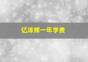 亿泽辉一年学费