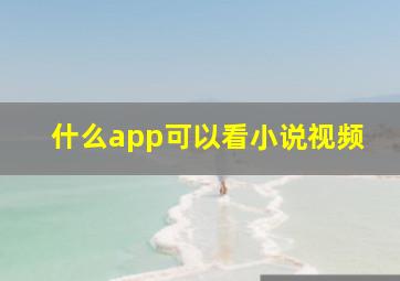 什么app可以看小说视频