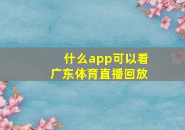 什么app可以看广东体育直播回放