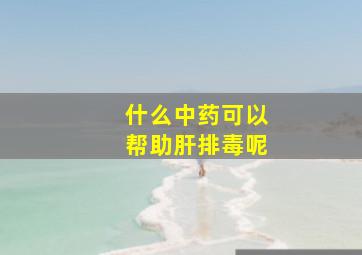 什么中药可以帮助肝排毒呢