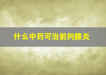 什么中药可治前列腺炎