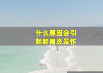 什么原因会引起肠胃炎发作