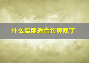 什么温度适合钓黄辣丁