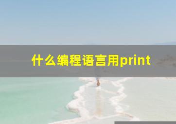 什么编程语言用print