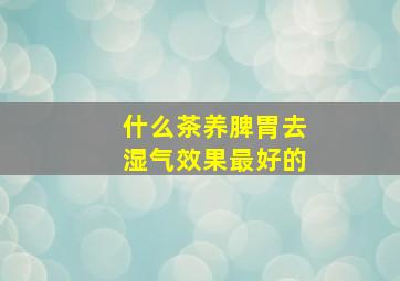 什么茶养脾胃去湿气效果最好的