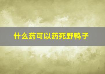 什么药可以药死野鸭子