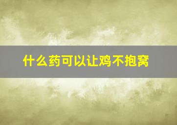 什么药可以让鸡不抱窝