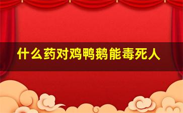 什么药对鸡鸭鹅能毒死人