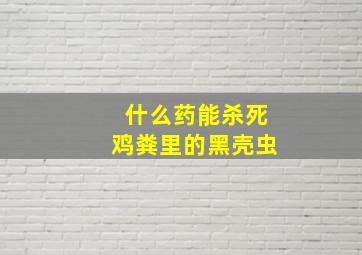 什么药能杀死鸡粪里的黑壳虫