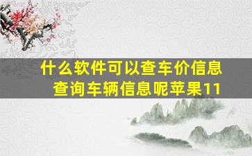 什么软件可以查车价信息查询车辆信息呢苹果11