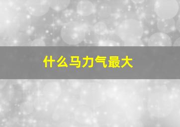 什么马力气最大