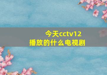 今天cctv12播放的什么电视剧