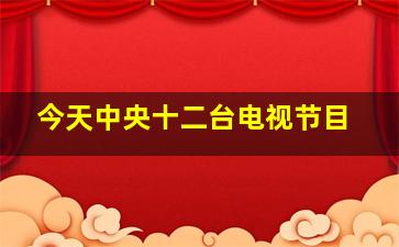 今天中央十二台电视节目