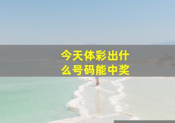 今天体彩出什么号码能中奖