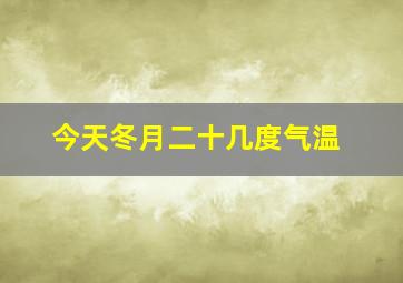 今天冬月二十几度气温