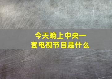 今天晚上中央一套电视节目是什么