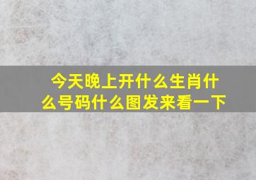 今天晚上开什么生肖什么号码什么图发来看一下