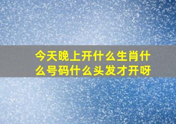 今天晚上开什么生肖什么号码什么头发才开呀