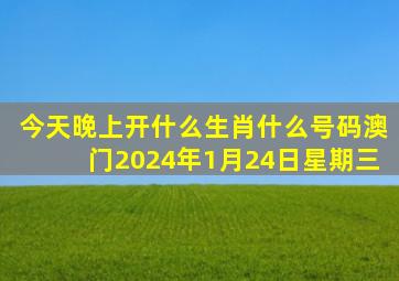 今天晚上开什么生肖什么号码澳门2024年1月24日星期三